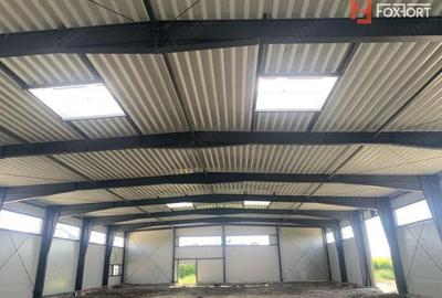 Hala de inchiriat cu platforma betonata de 1334 mp, zona Sanandrei - 1