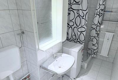 Garsoniera Ghica Tei Teiul Doamnei - 5