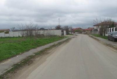 Cornetu - Crizantemelor, Stradal - 3