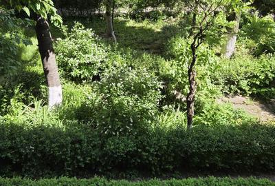 Apartament cu 3 camere decomandat în Central - 4