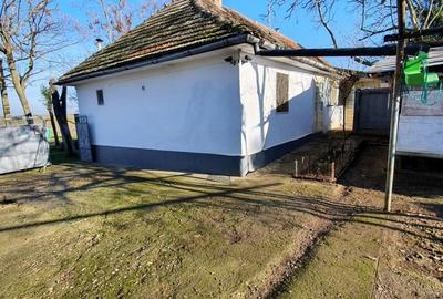 Casă cu 4 camere cu Teren 1600 Mp în Orțișoara - 6