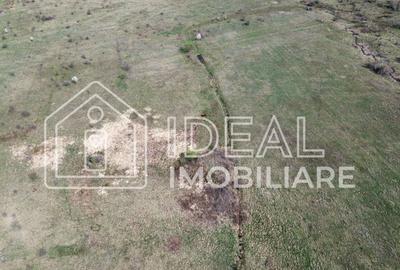 Teren agricol extravilan de 25500 mp, în Sud-Est - 4