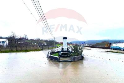 Spațiu comercial, de 271 mp, în Răchitoasa - 3