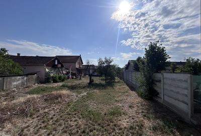 Spațiu comercial de închiriat - Vladimirescu, jud. Arad - 10