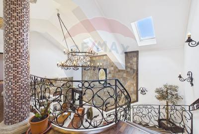 Proprietate specială, de 608 mp, în Mogoșoaia - 11