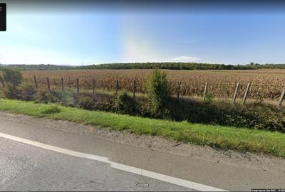 Teren agricol intravilan de 11791 mp, în Sântandrei - 1