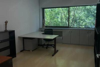 Spatiu de inchiriat in zona Baneasa - 3