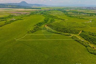 Teren de 10800 mp, în Râșnov - 9