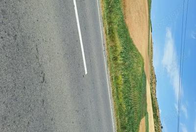 Teren de 5800 mp, în Gădălin - 5
