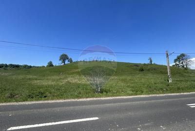 Teren 7,430mp Copalnic / Strada principala - 6