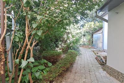 CASA cu anexa si spatiu comercial – de vanzare in BEIUS - 20