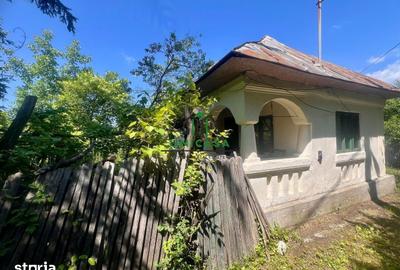 Teren de 8300 mp, în Vaideeni - 6