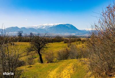 Teren de 60100 mp, în Central - 10