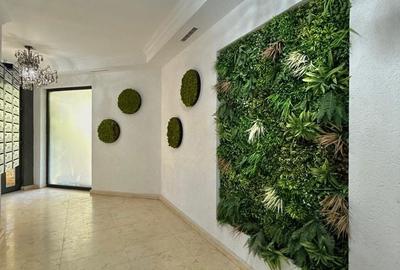 Garsonieră în Nord - 8