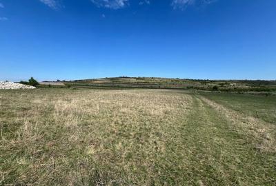 Teren extravilan de vanzare, 5800 mp, zona Chinteni