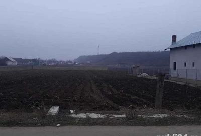 Teren de 2000 mp, în Central - 4