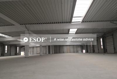 Hale industriale, parc modern, Rudeni, Chitila, Ilfov- ID 15462 Hale industriale, parc modern, Rudeni, Chitila, Ilfov- ID 15462 - 7