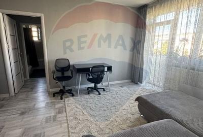 Apartament cu 2 camere de vanzare in zona Calea Severinului - 4