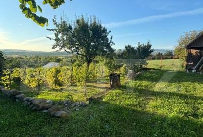 Casa in Aluni?, 10.000 mp de teren, cu vie si livada, veder - 3