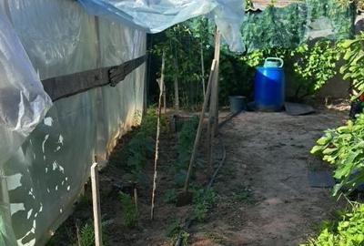 Casă cu 4 camere în Mofleni - 1