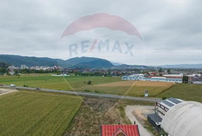 Teren de 440 mp, în Baciu - 6