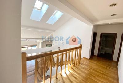 Vila cu piscina Iancu Nicolae - 16