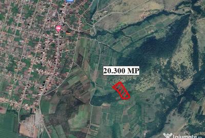 Teren de 20300 mp, în Șiria - 1
