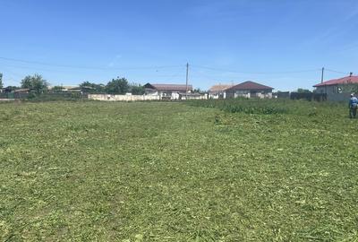 Teren de 4406 mp, în Dulcești - 3