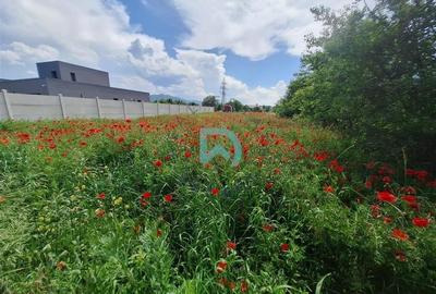 Teren intravilan de vanzare Bartolomeu  Brasov - 4