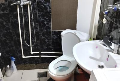 Giurgiului 164, M. Eroii Revolutiei, termen scurt, 160 lei/zi - 18