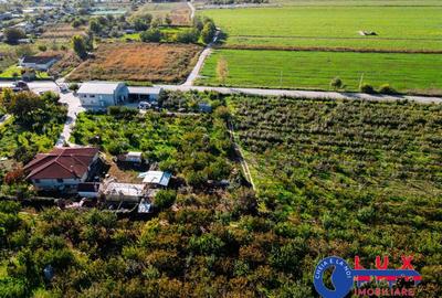 Teren de 44999 mp, în Sabangia - 18