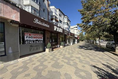 Stefan cel Mare - spatiu comercial stradal 120mp - 8