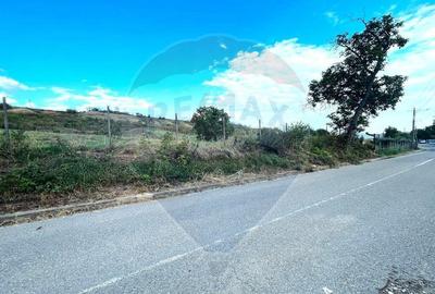 Teren Panciu ( Satul Nou ) Strada Progresului - 2