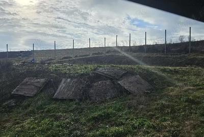 Teren de 6200 mp, în Bodrog - 4