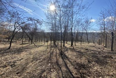 Teren Valcanesti între Comarnic și Valenii de Munte - 19