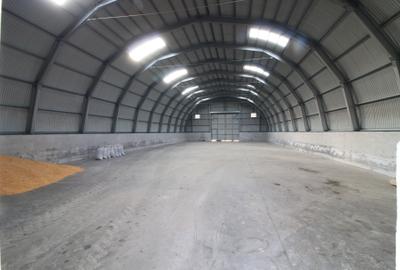 Baza de cereale in functiune , 4500 mp intravilan + 2 depozite (aprox 1000mp) - 4