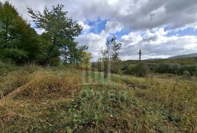 Teren de 509 mp, în Cisnădioara - 9