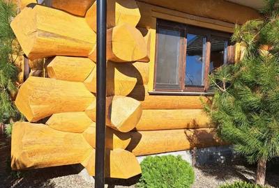 Casa speciala de vanzare , din busteni de lemn , 257.000 euro neg . - 5