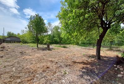 Teren 2900 m2, com. Salcuta, Jud. Dolj - 10