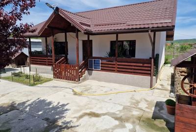 Casă cu 2 camere în Ostroveni - 1
