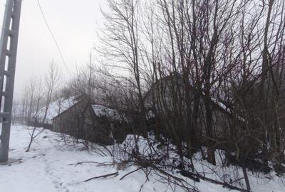 Teren intravilan , 5000mp, zona Negostina, Siret - 4