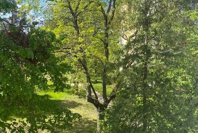 Apartament cu 2 camere nedecomandat, mobilat în Ultracentral - 1
