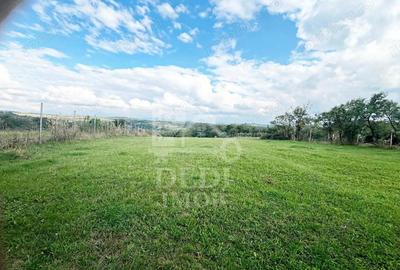 Casa de vanzare si teren de 3000mp in satul Calea Mare, Bihor - 2