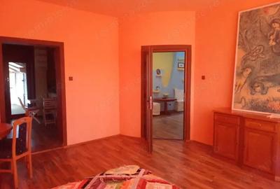 ViLA de LUX cu un DESIGN deosebit in centrul orasului Nadlac - 19