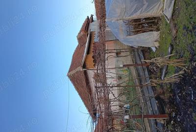 Casă în Roșia de Amaradia - 5