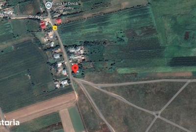 Casă cu 3 camere cu Teren 3487 Mp în Tănăsoaia - 1