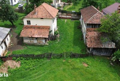 Casă cu 5 camere cu Teren 3600 Mp în Vulturești - 12