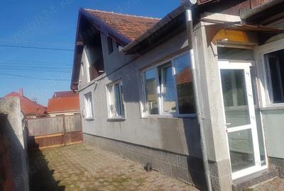 Vand casa individuala in Mehala - 1