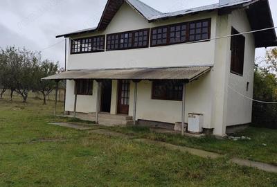 Spațiu comercial, de 240 mp, în Ștubeiu - 9