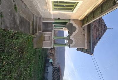 Casă cu Teren 4443 Mp în Pleșoiu (Nicolae Bălcescu) - 13